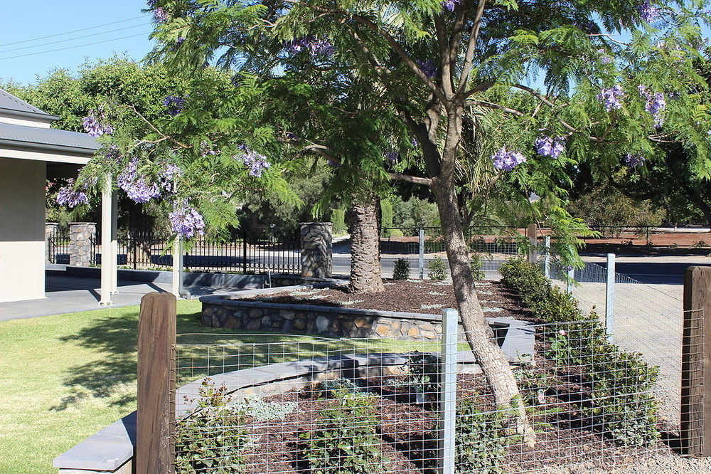 Barossa Bed & Breakfast Tanunda Exteriér fotografie